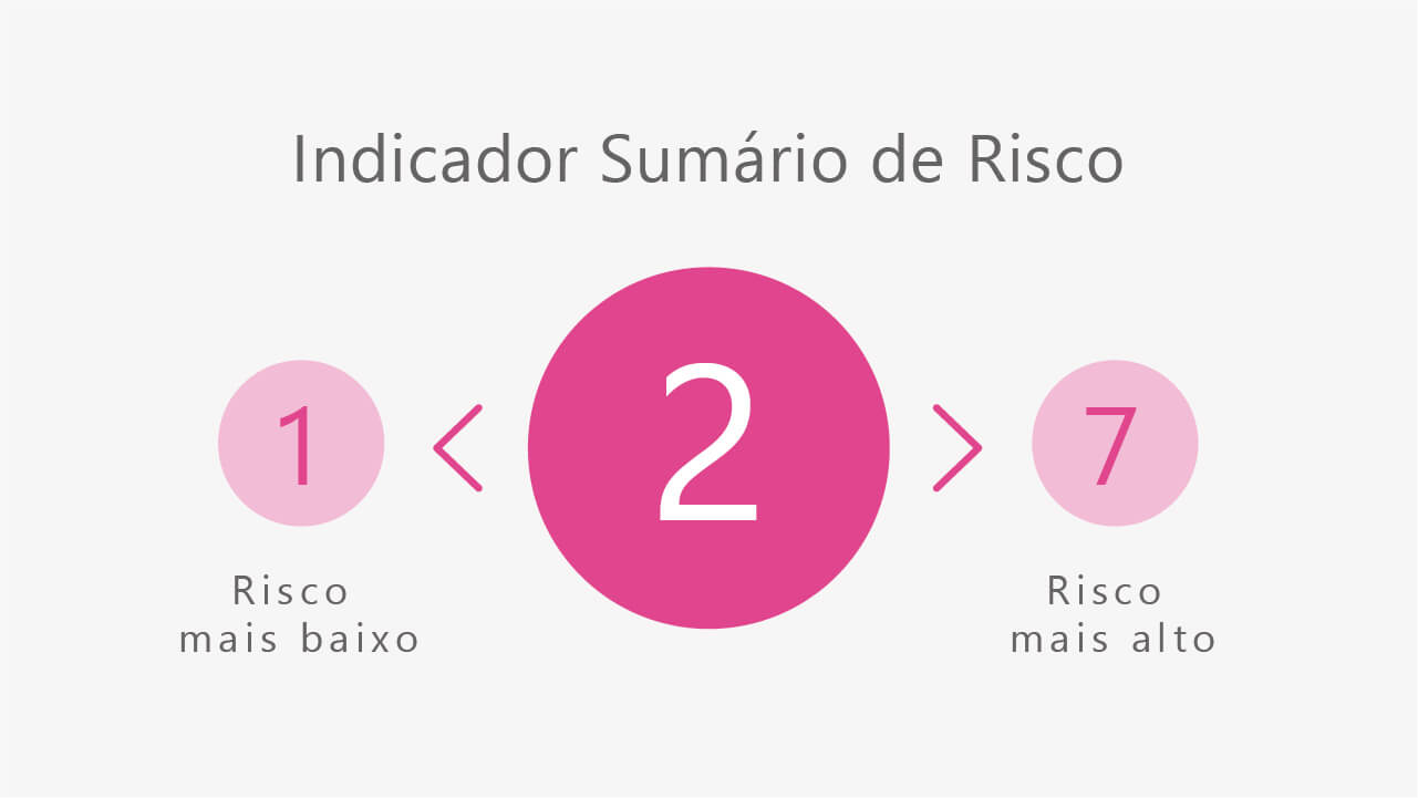 Indicador Sumário de Risco de Nível 2